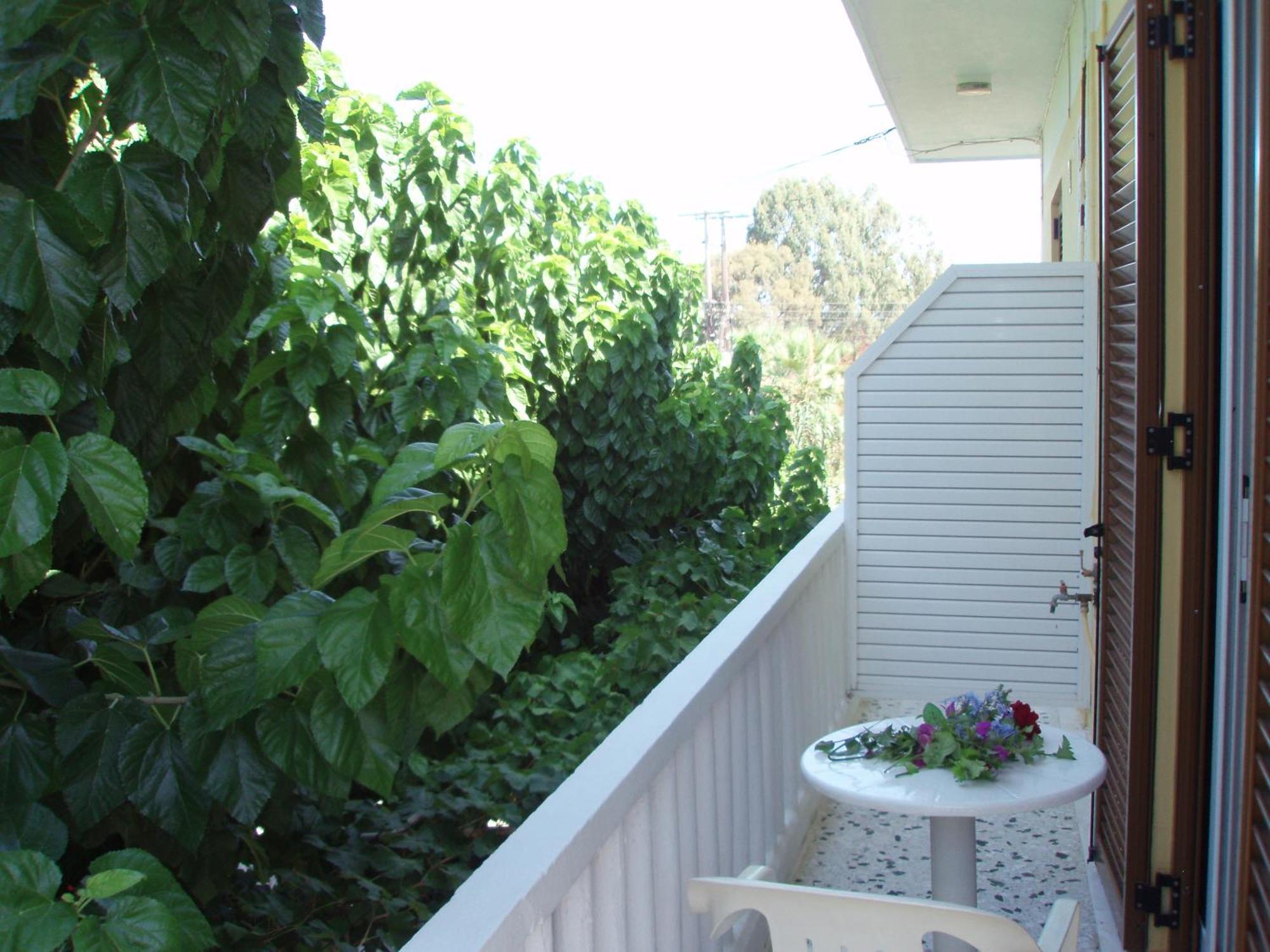 Apartament Stars *